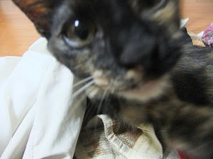 DSCF9338.JPG