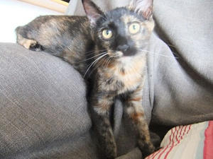 DSCF9305.JPG