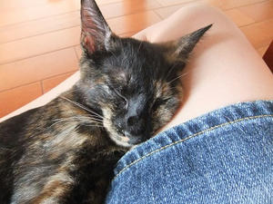 DSCF9315.JPG