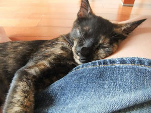 DSCF9313.JPG