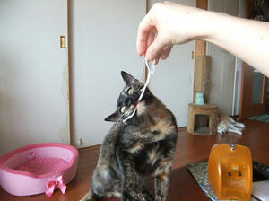 DSCF9445.JPG