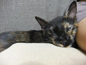 DSCF9460.JPG