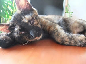 DSCF9440.JPG
