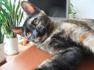 DSCF9437.JPG