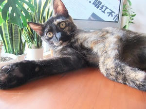 DSCF9429.JPG