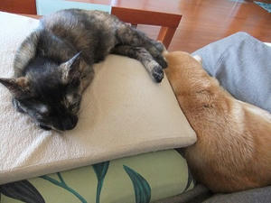 DSCF9506.JPG