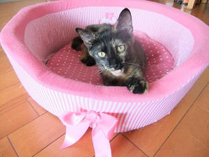 DSCF9407.JPG