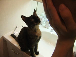 DSCF9480.JPG