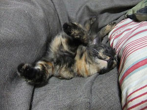DSCF9454.JPG