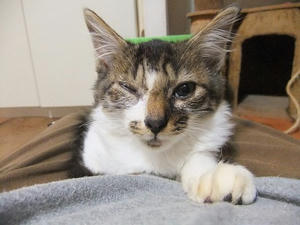 DSCF9531.JPG