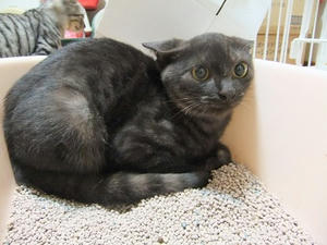 DSCF9536.JPG