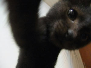 DSCF9526.JPG