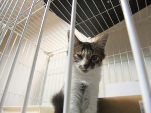 DSCF9545.JPG