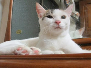 DSCF9610.JPG