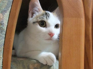 DSCF9573.JPG