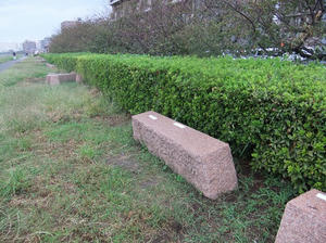 DSCF9692.JPG