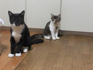 DSCF9611.JPG