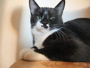DSCF9595.JPG