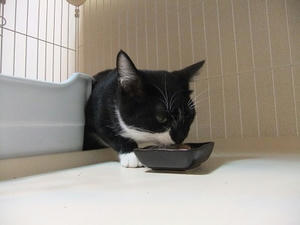 DSCF9548.JPG