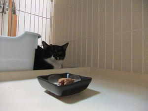 DSCF9547.JPG