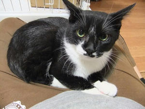 DSCF9541.JPG