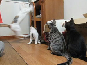 DSCF9638.JPG