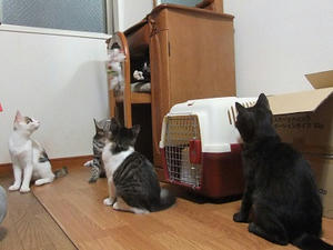DSCF9635.JPG