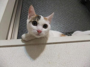 DSCF9586.JPG
