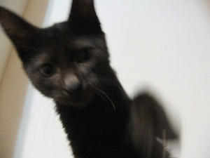 DSCF9527.JPG