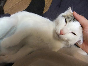 DSCF9686.JPG