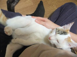 DSCF9685.JPG