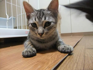 DSCF9604.JPG
