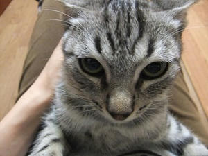 DSCF9535.JPG