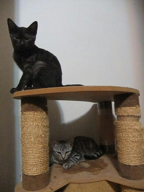 DSCF9557.JPG