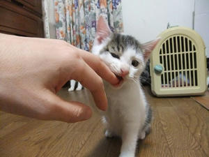 DSCF9772.JPG