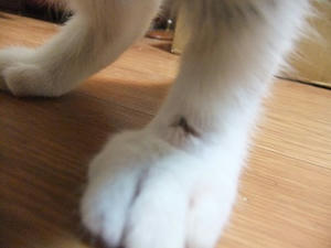 DSCF9771.JPG