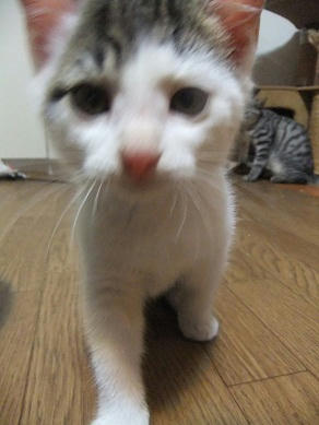 DSCF9766.JPG