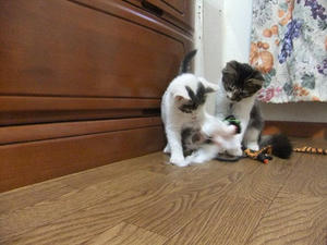 DSCF9722.JPG