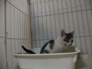 DSCF9668.JPG