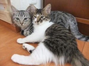 DSCF9709.JPG