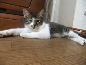 DSCF9700.JPG