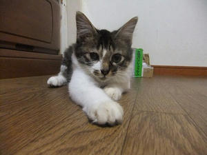 DSCF9648.JPG