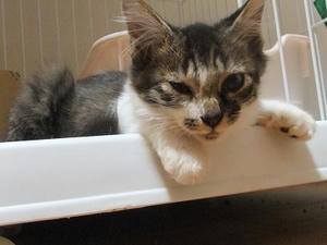 DSCF9572.JPG