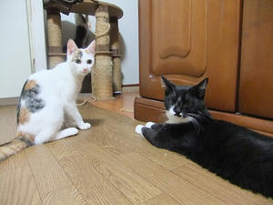 DSCF9662.JPG
