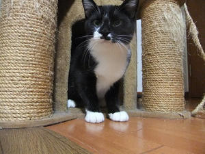 DSCF9615.JPG