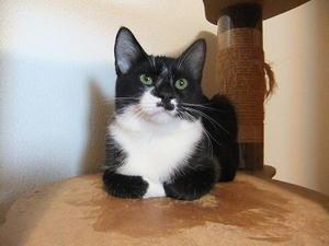 DSCF9614.JPG
