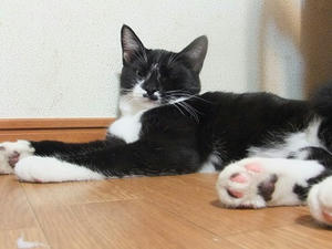 DSCF9609.JPG