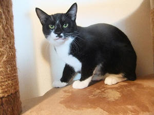 DSCF9592.JPG
