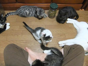 DSCF9765.JPG