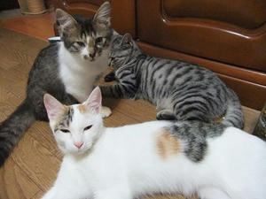 DSCF9759.JPG